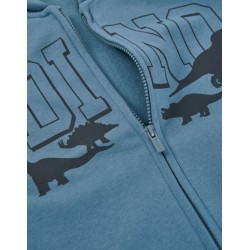 Giacca in felpa con cappuccio per bambini e ragazzi. Tessuto morbido LKBAP0201_24006 c BLU