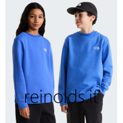 THE NORTH FACE FELPA...