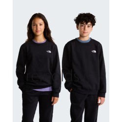 THE NORTH FACE FELPA...